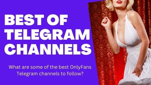 OnlyFans Telegram channels or groups to follow as an OnlyFans creator